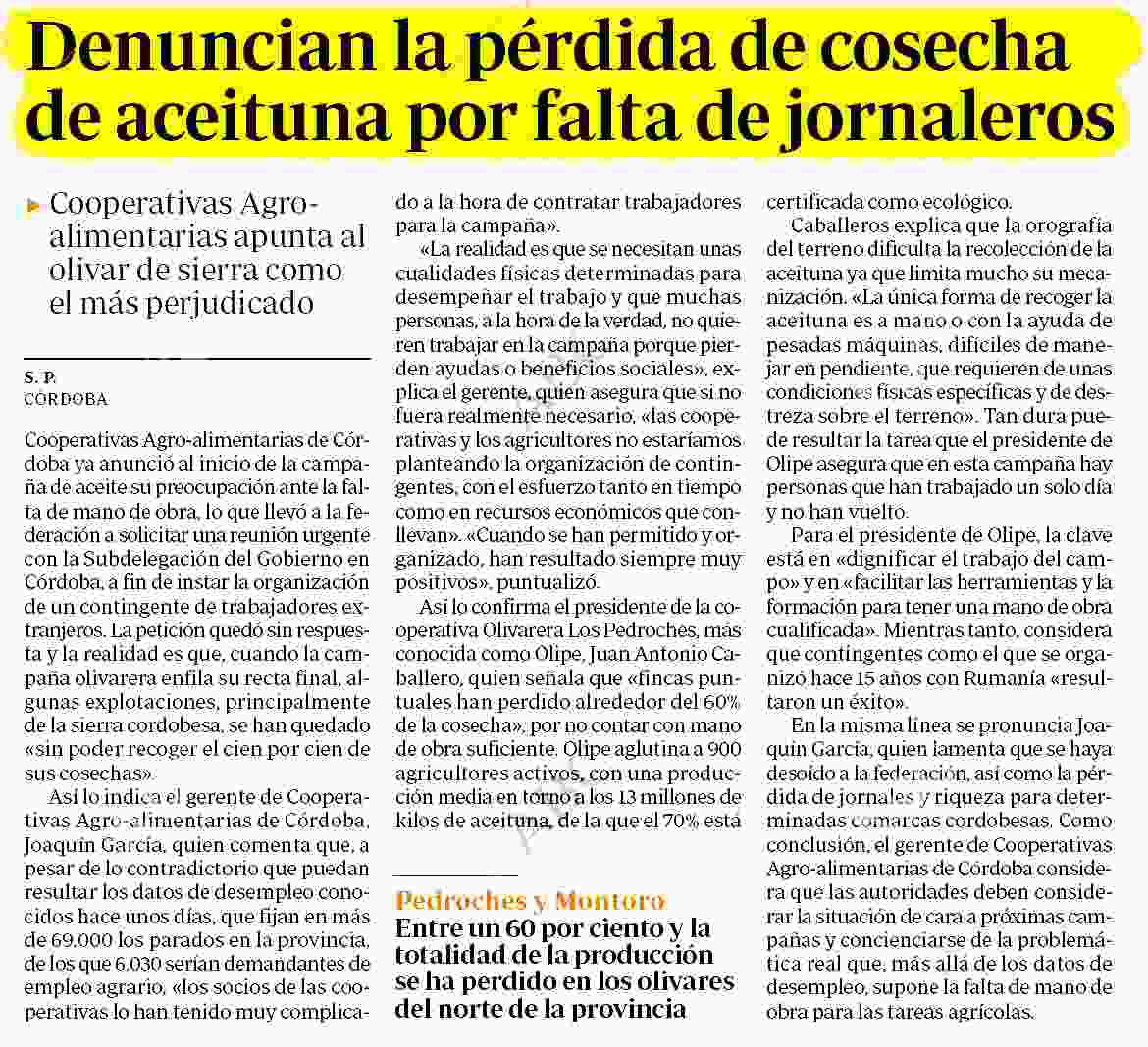 Recorte de prensa